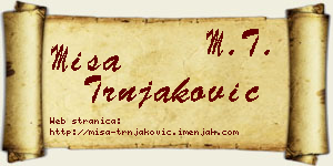 Miša Trnjaković vizit kartica